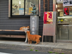 核兵器廃絶猫には友人がいた