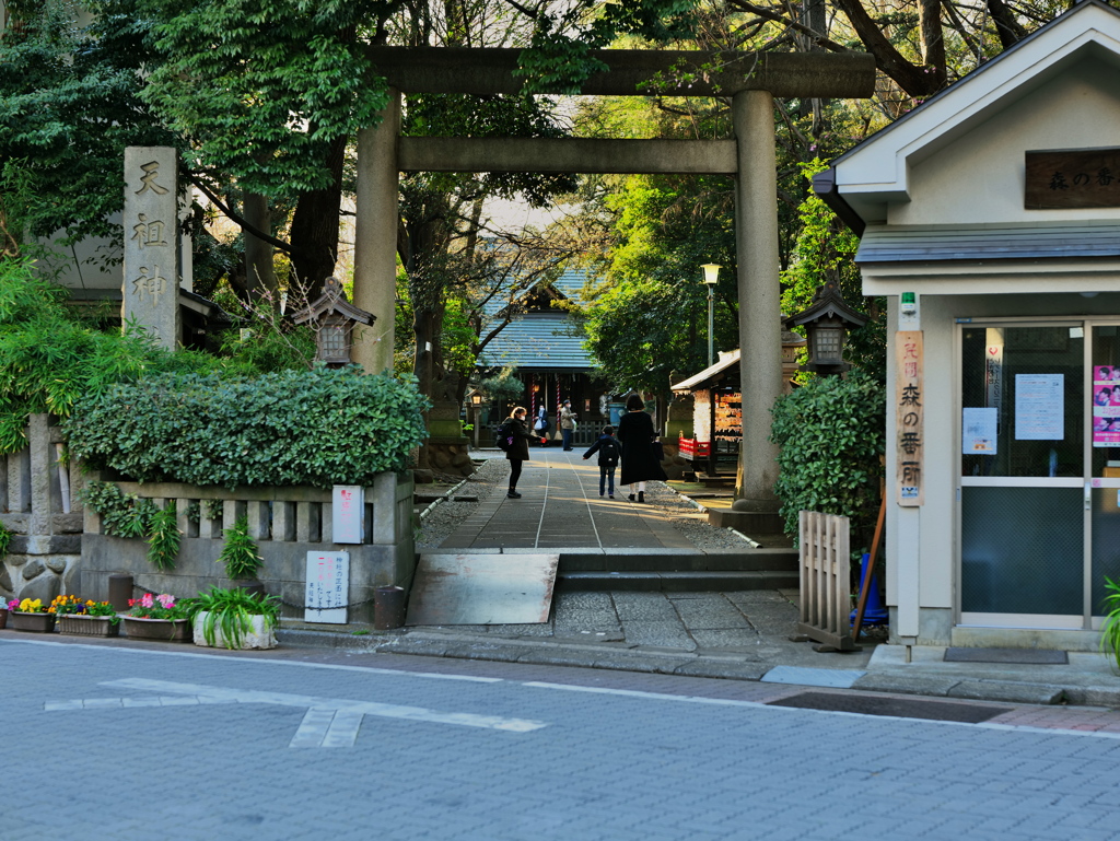 神社での出会い