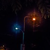 APC_1155