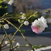ナチュラルメイク