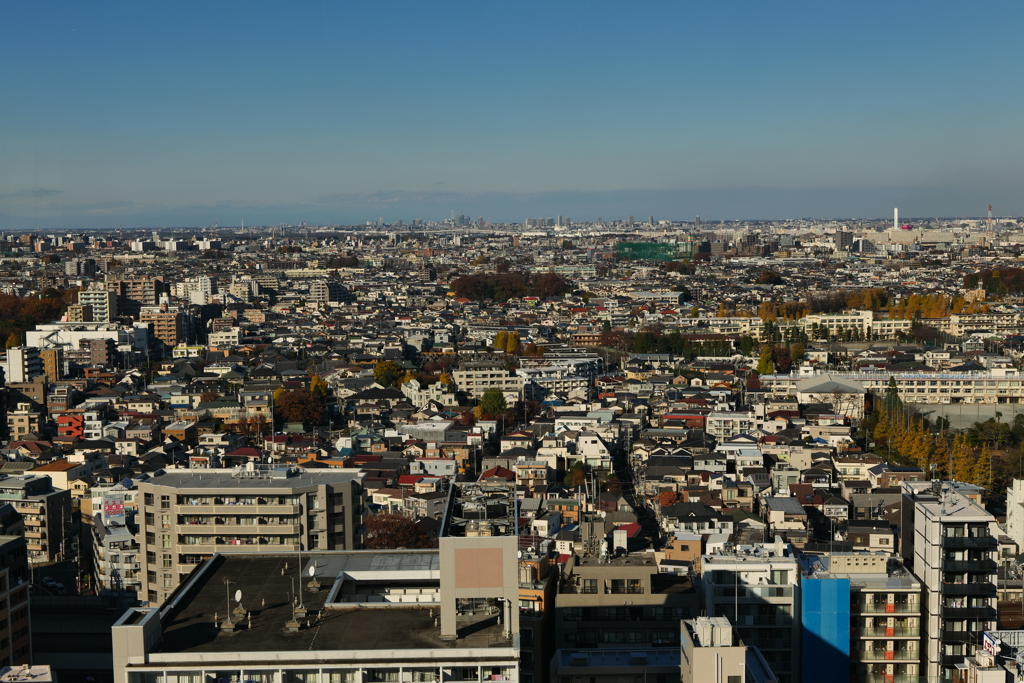 練馬から見える埼玉方面