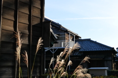 乾いた空気と晴天の色合い