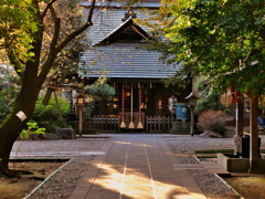 天祖神社（ときわ台）の夕時