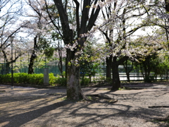4月の朝に