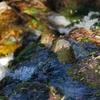 流れ