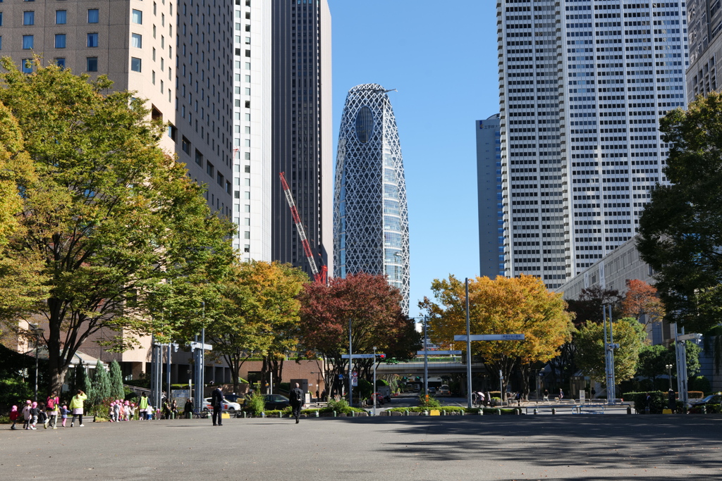 コクーンタワー