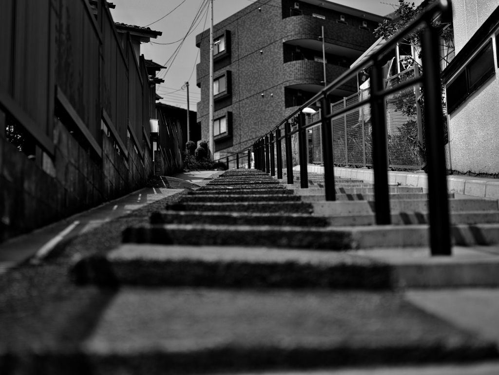 人生という名の坂を転げ落ちるとは・・・