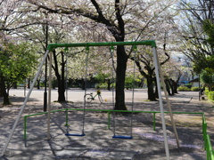 欲張り青春セットです。