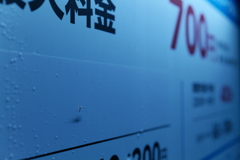 埼玉の昆虫