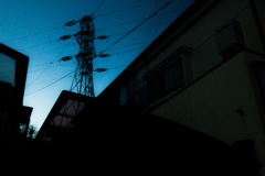 人工キノコ