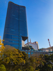 日比谷公園からの眺め