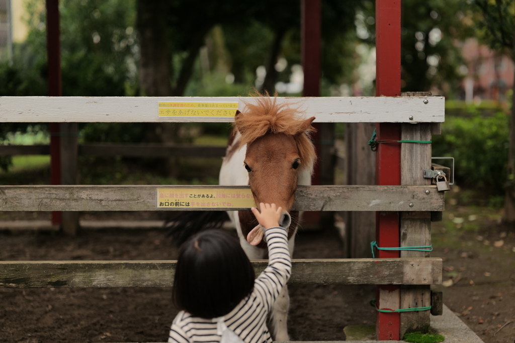 鼻を押すと、ベロを出す馬