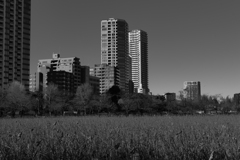 何故、マンションを建てるのか