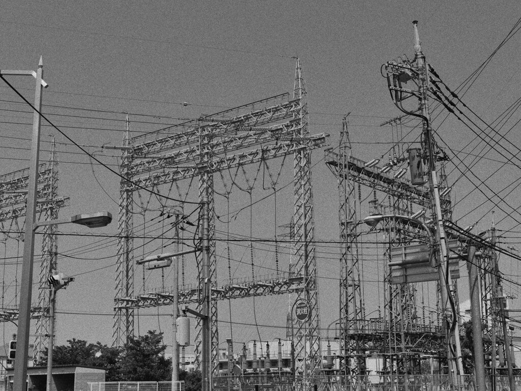 電気の巣