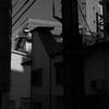 日照権