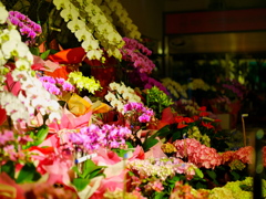 深夜を彩る花びらたち