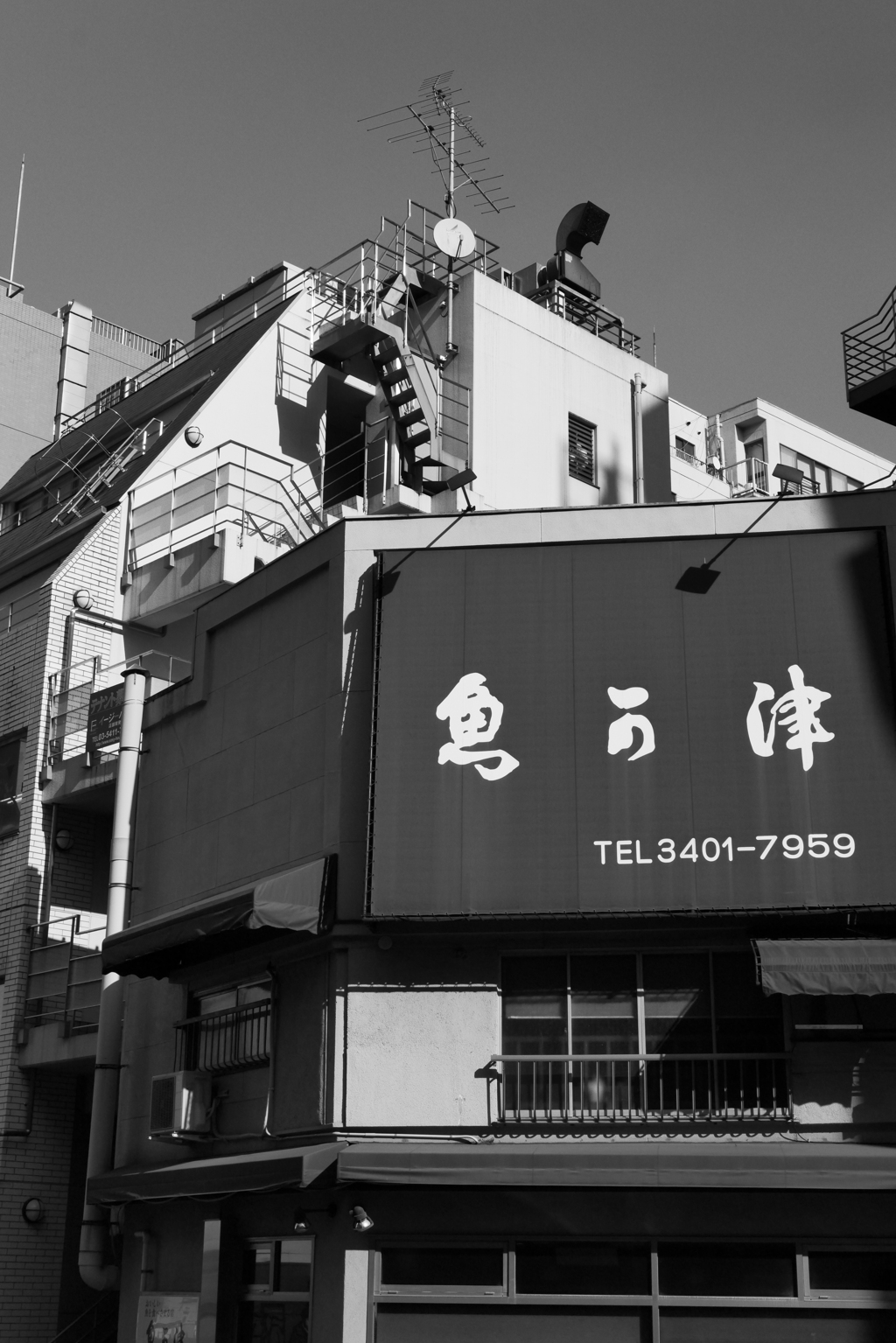 魚可津