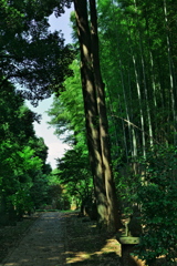 細道を尋ねて
