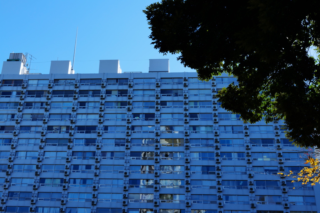 動かないモノ・流れないモノ・いずれ朽ちるモノ