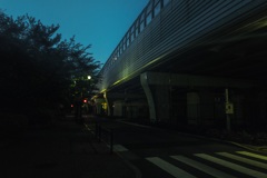 APC_0489