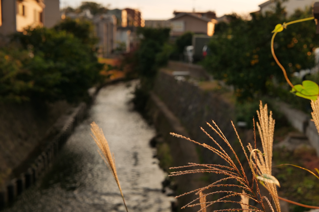 10月の夕暮れ