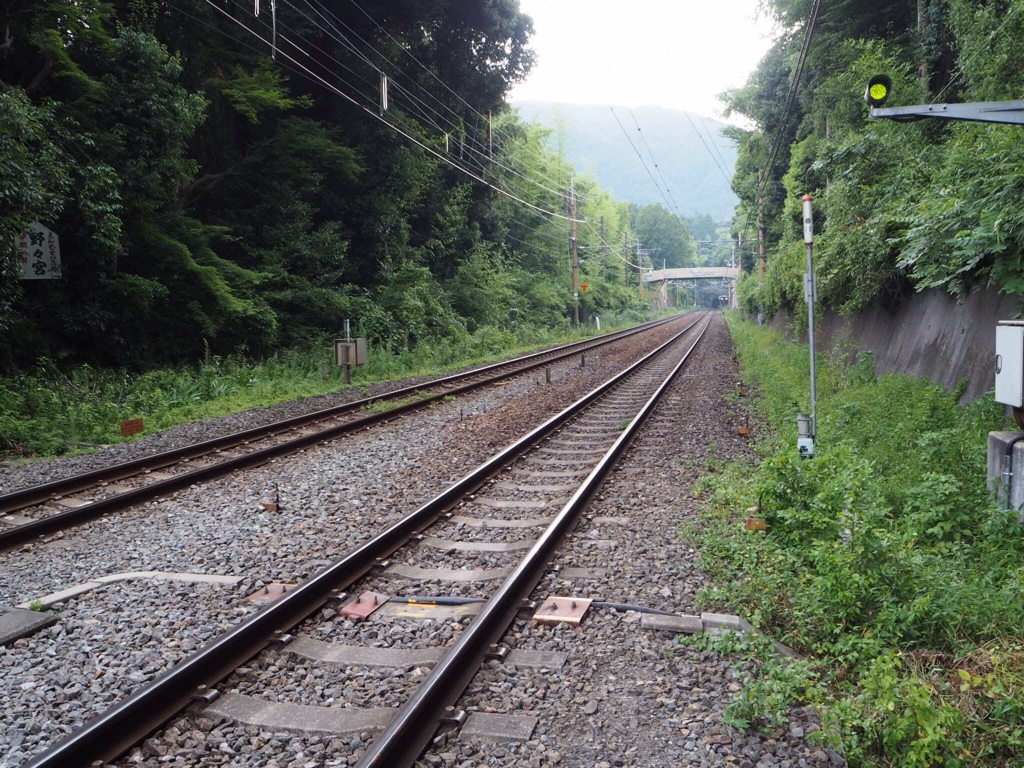 線路@竹林の道