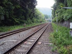 線路@竹林の道