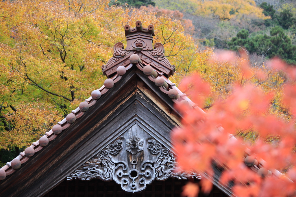 聖宝寺と紅葉