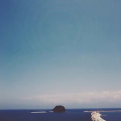 海にできたコブ