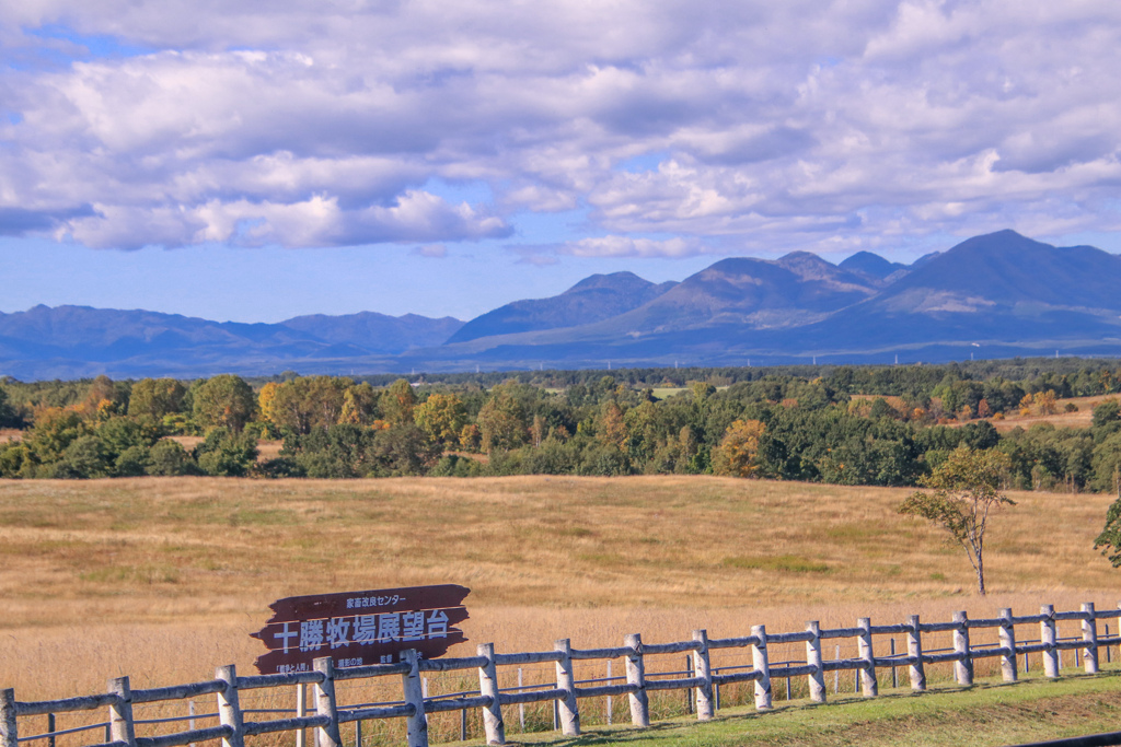 いろずき　はじめ