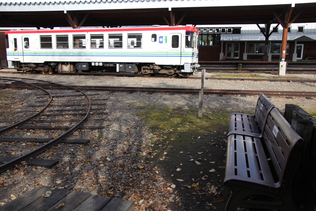 今日はどちらまで？　　　