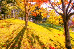 かえりたくない