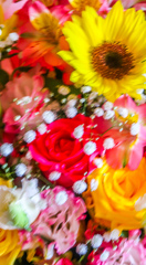 まごが　はじめてとった　はな