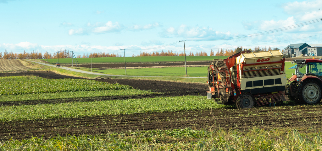 あきの　はたけ