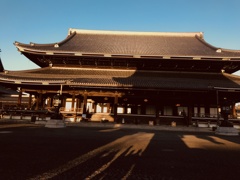 へいせいさいごの    ほとけのこ