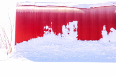 あか　と　しろ