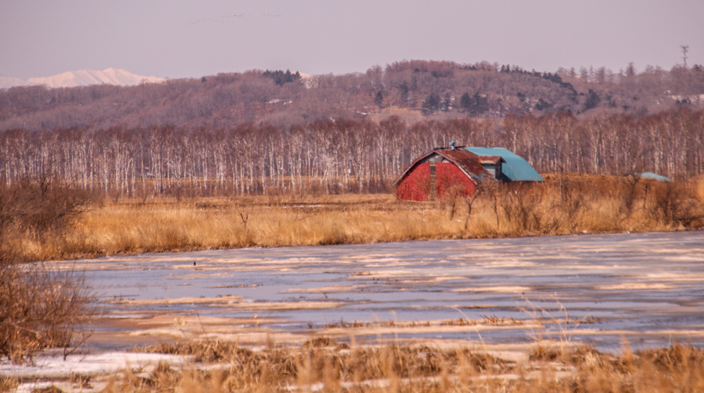 いなかの　ふうけい