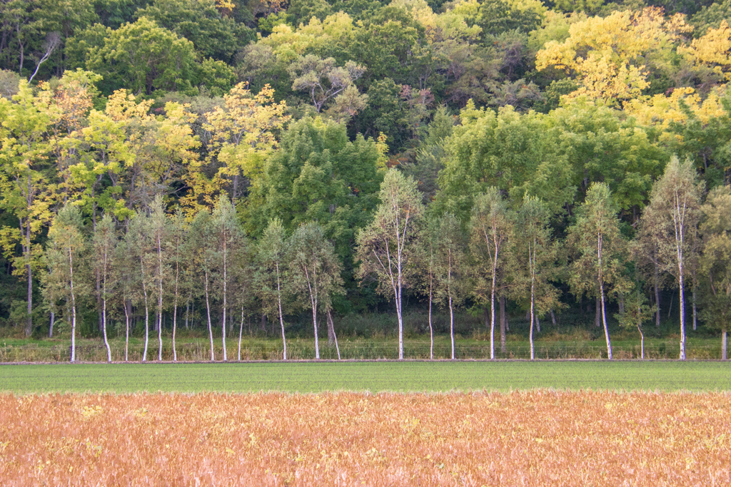 ほどよく　あき　へ