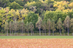 ほどよく　あき　へ