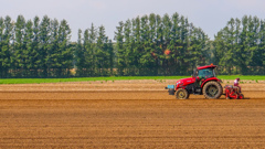 がんばる　おばちゃん
