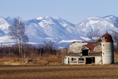 ふゆの　はたけ