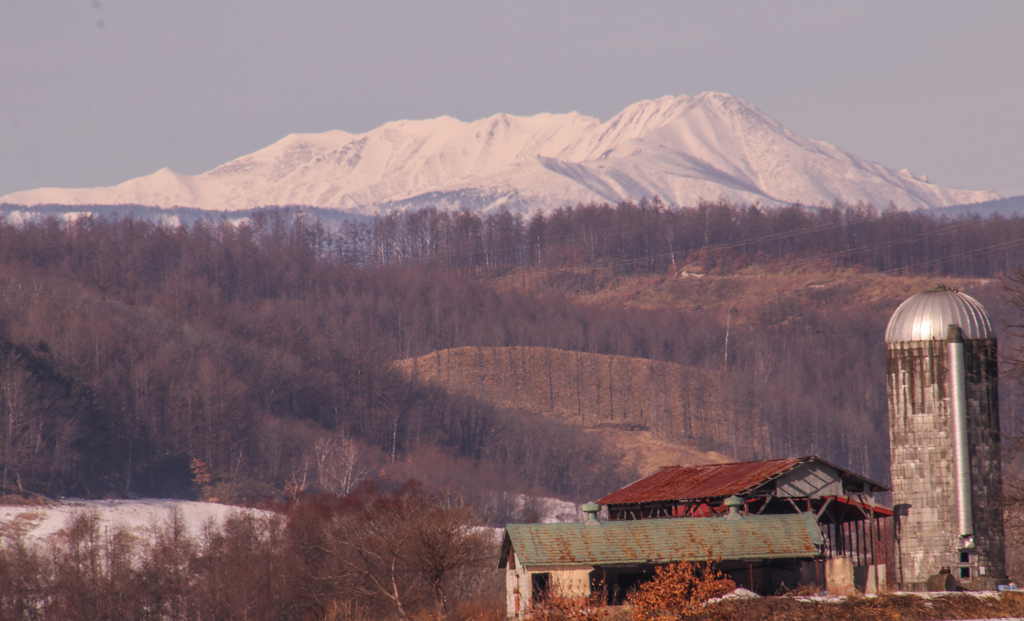 がんばってるね