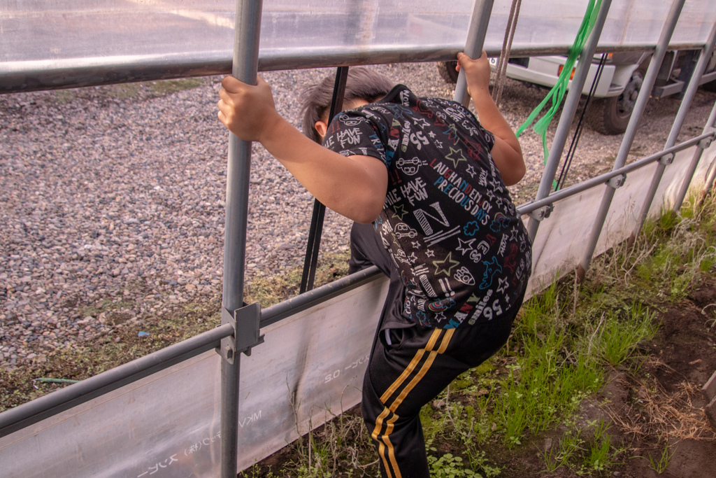 おーい　だしてくれ