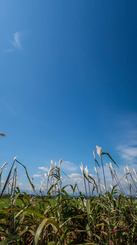 すこしづつ　あき