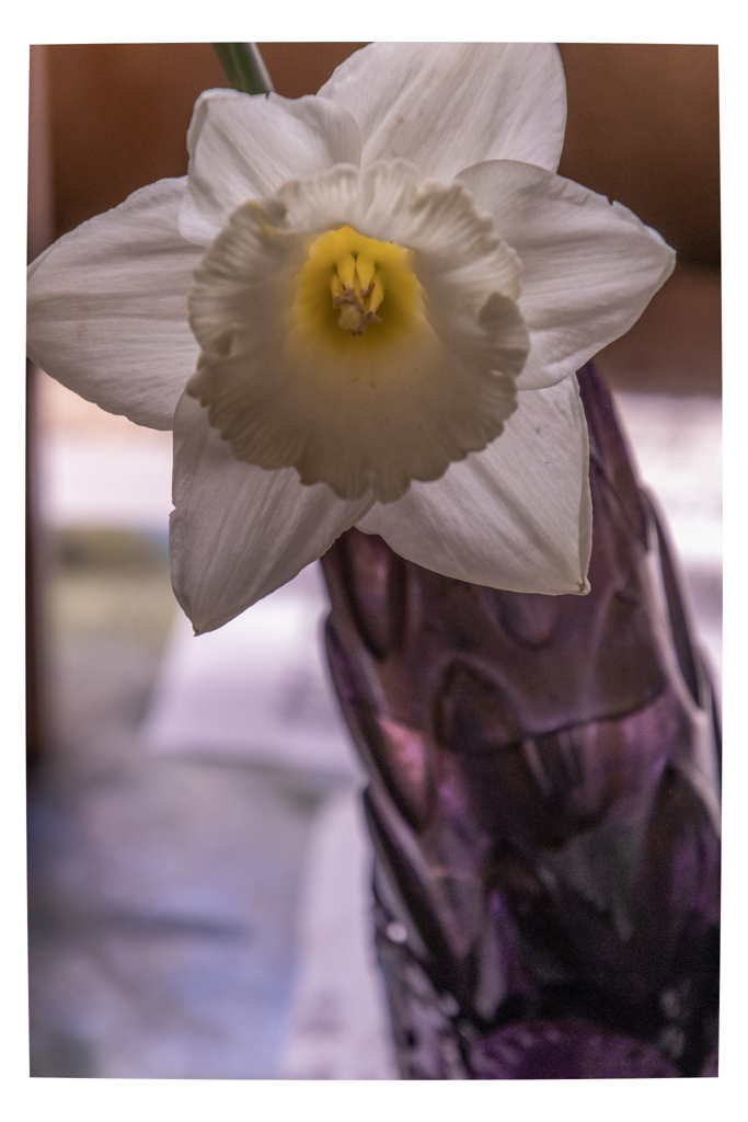 みなさん　おげんきですか？