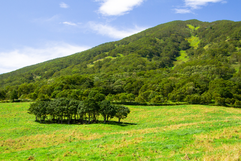 きもちのいい　ひでした。