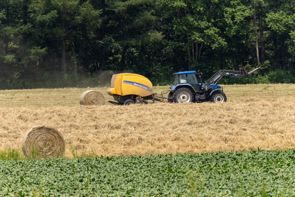 くるくるくるくるくる