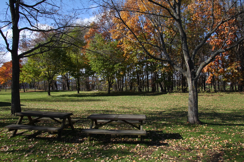 そうか元気になったか　重さん奥さんにあやまったそうですよ
