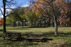 そうか元気になったか　重さん奥さんにあやまったそうですよ