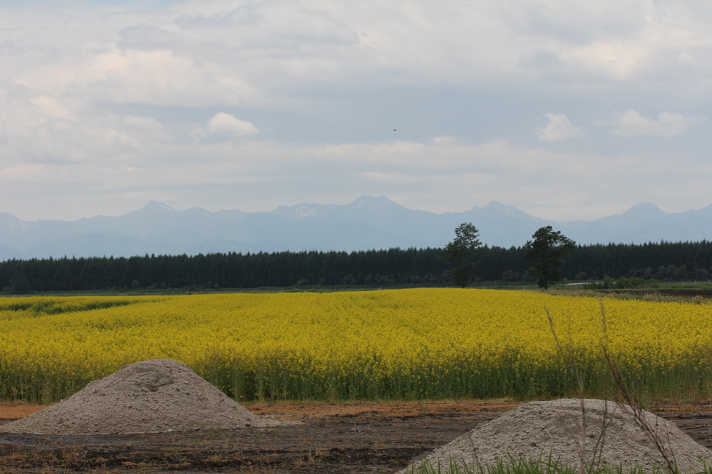 しずかに大地６